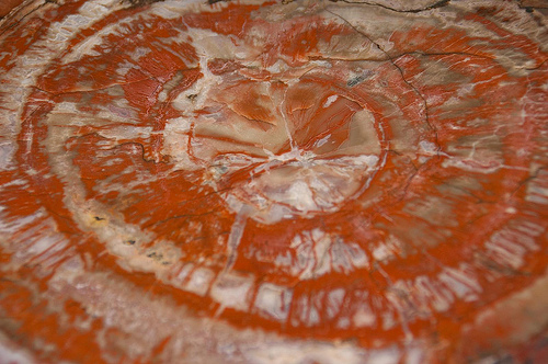 Mineral Vitamin