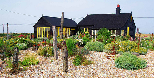 organicgardening