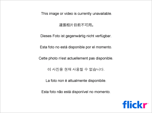 Ginko Biloba – na koncentrację