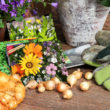 Saatgut, Steckzwiebeln und Gartenwerkzeug Wiosenne porządki w ogrodzie