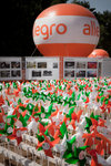 Allegro gra EKO Allegro gra EKO_6.jpeg