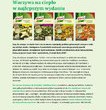 Produkt Roku 2014, czyli sosy do warzyw na ciepło Knorr – Warzywa na ciepło w najlepszym wydaniu