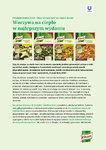 Produkt Roku 2014, czyli sosy do warzyw na ciepło Knorr – Warzywa na ciepło w najlepszym wydaniu