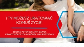 WĄKROTKA AZJATYCKA – WIELKA MOC NIEWIELKIEJ ROŚLINKI Zdrowie, LIFESTYLE - Czasami coś niepozornego, nieprzykuwającego uwagi, może posiadać wyjątkowe właściwości. Tak dzieje się w przypadku wąkrotki azjatyckiej, małego zielonego kłącza, znanego też pod nazwą Gotu kola.