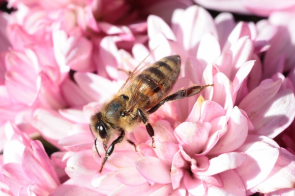 Alergia – irracjonalna walka organizmu Zdrowie, LIFESTYLE - Wiosna kojarzy się z zielenią, pierwszymi promieniami słońca i budzącą się do życia przyrodą, jednak dla wielu z nas potrafi być prawdziwym koszmarem. Wysypka, zapalenie spojówek, katar... a może to alergia? Jak ją rozpoznać i jak zdiagnozować?