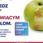 Kolagen – dlaczego warto go stosować?