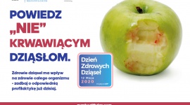 Kolagen – dlaczego warto go stosować?