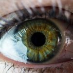 Alergie oczu – narastający problem XXI wieku